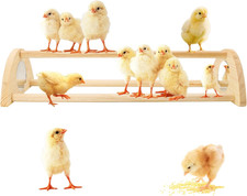 Chicken Perch with Mirror Roosting Bar for Baby Chicks Chick Jungle Gym Roost...