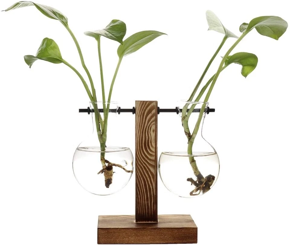 Propagation Station Desktop Planter Bulb Vase with Holder Home Office Decoration