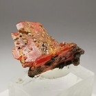 Foto 12 di 13