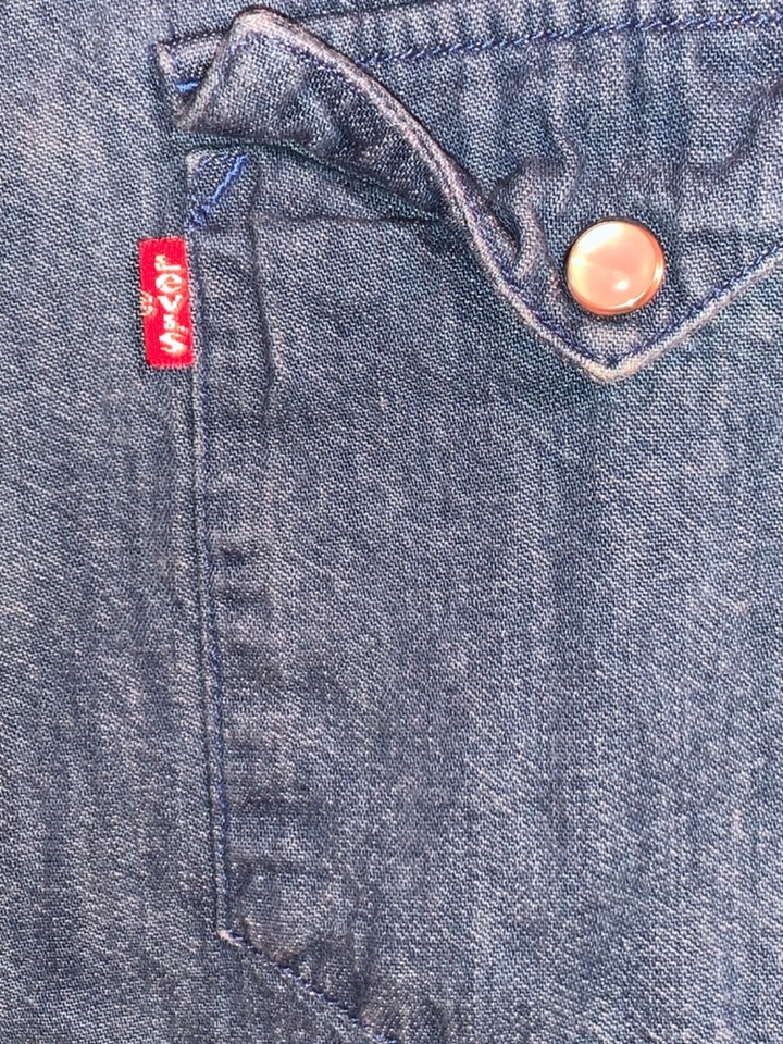 Vintage Levi’s Long Sleeve button shirt Dragon & Zapdos embroidered