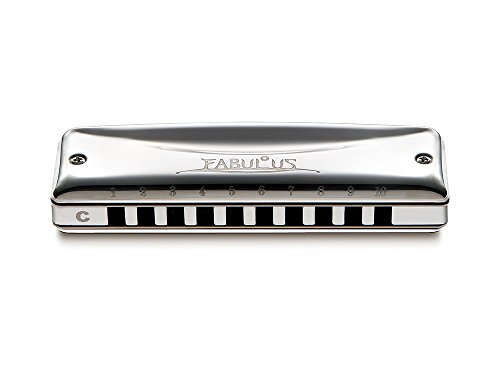 SUZUKI Diatonic Harmonica F-20E A Key FABULOUS Series 10 Hole - Picture 1 of 6