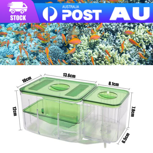 Breeding Aquarium Fish Tank Guppy Hatchery Breeder Incubator Isolation Box - Picture 10 of 12