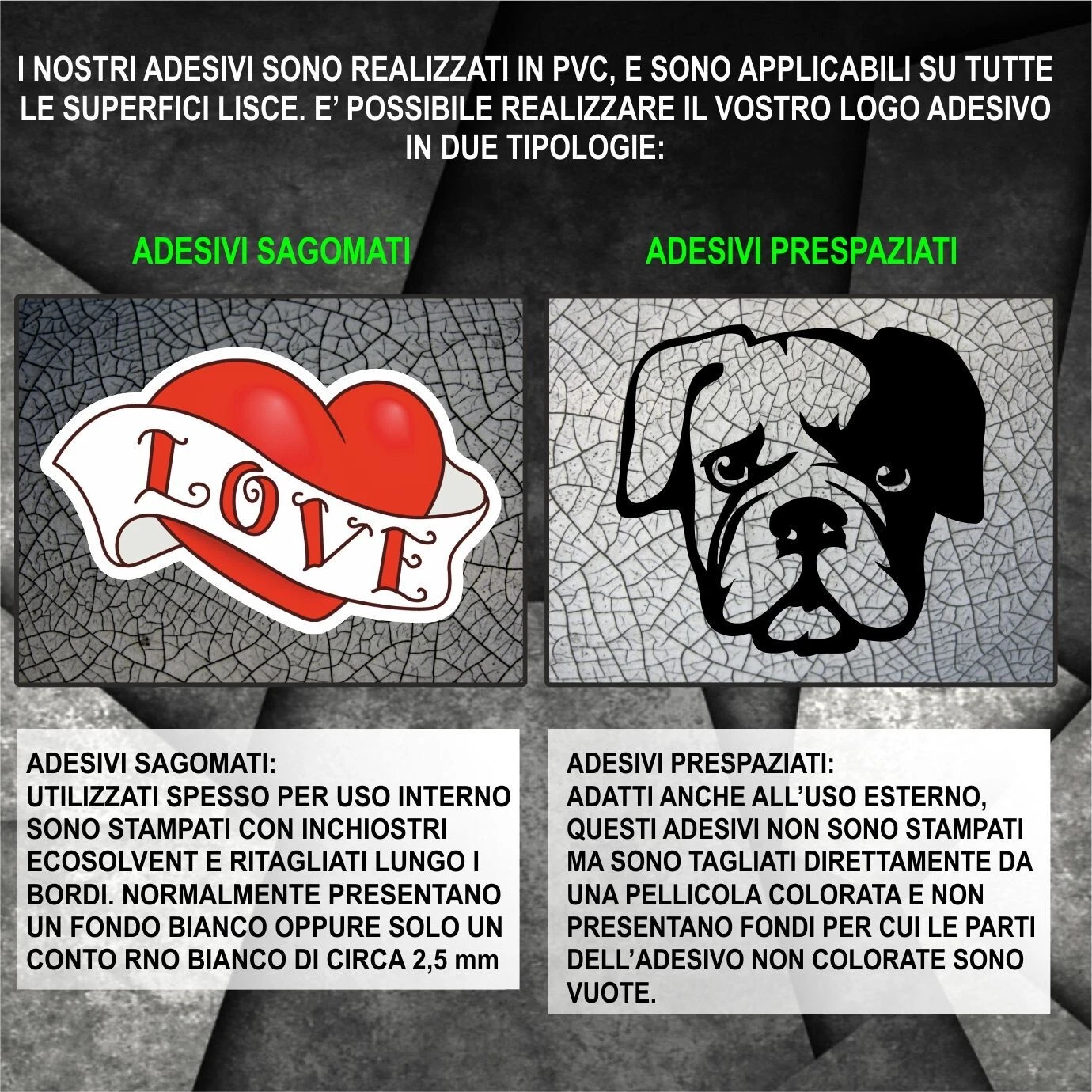 Imagen 3 de 3