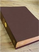 Daily Devotional Bible - The Word For Today