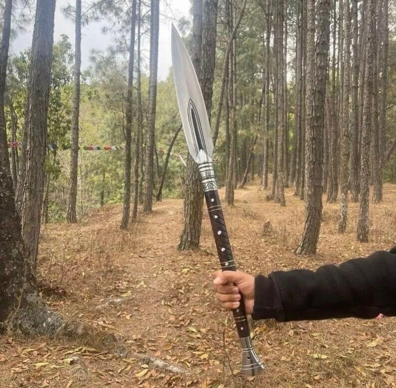 Custom Handmade Carbon Steel Blade Traditional Viking Spear /Hunting 30 inches