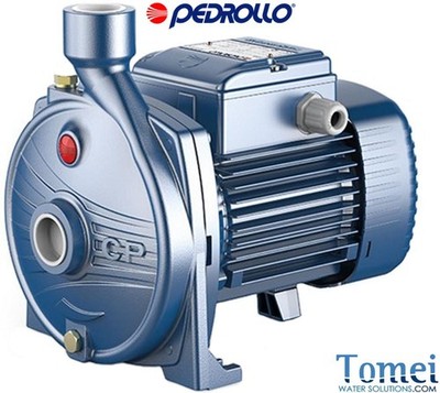 Kreiselpumpen aus Gusseisen Hauswasser Gartenpumpe CPm 100 PEDROLLO Einzelphase