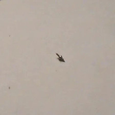 1 ILLINOIS 0 - 3/0 SIZE BALANCE STAFF 47620 SR PIVOT: 9 NOS --- BB-1150