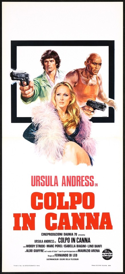 Locandina di Colpo in canna (1975)