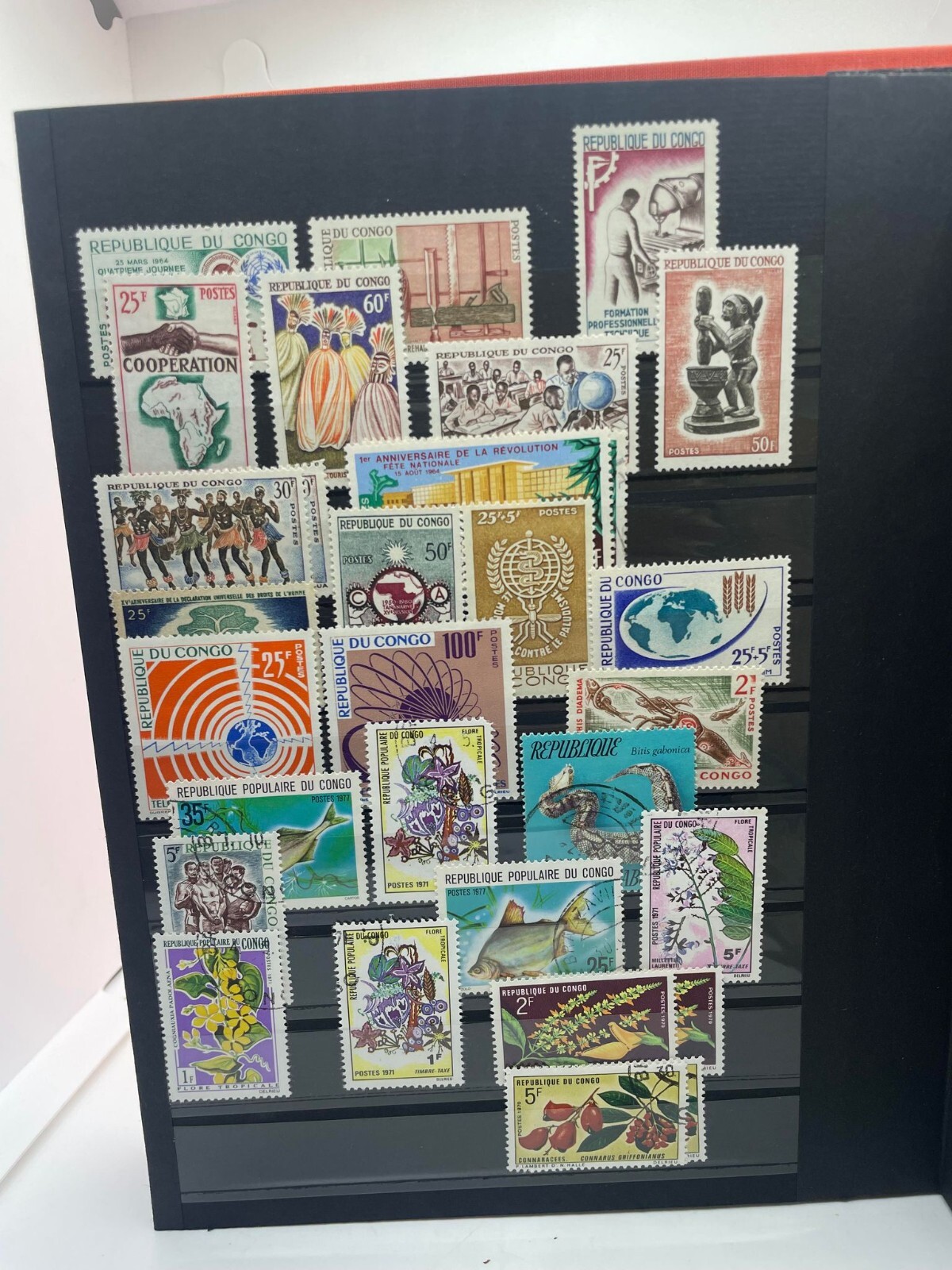 Picture 4 of 12