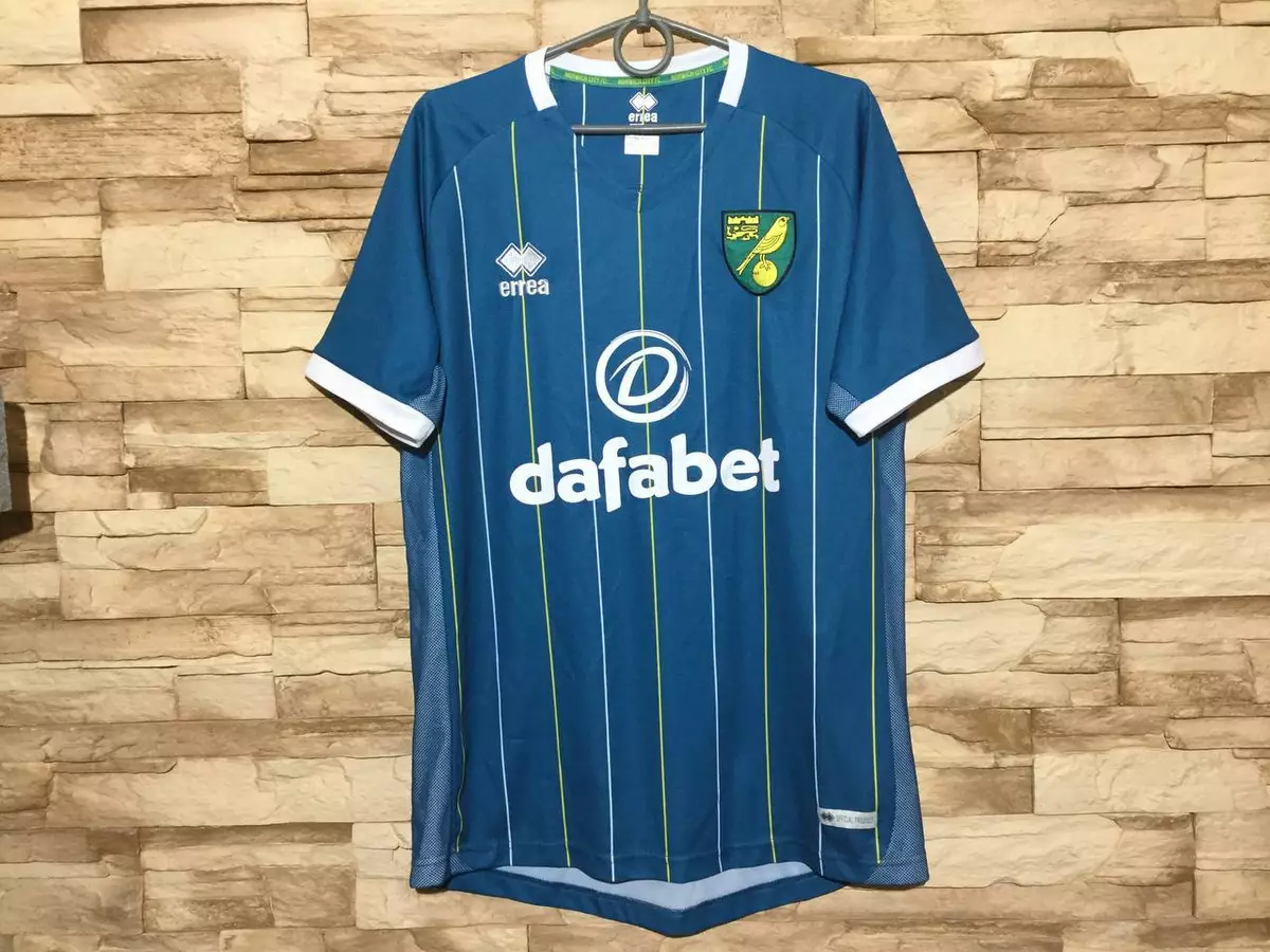 norwich fc shirt