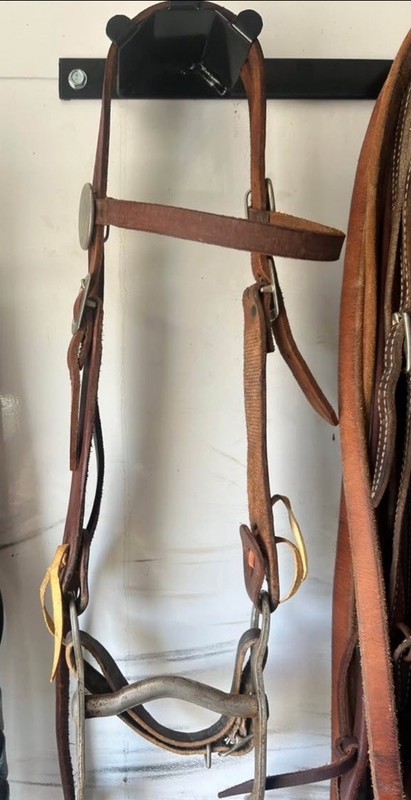 Pony Curb Bit Headstall