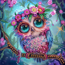 DIY Diamond Art Kits for Adults Owl Special Shape - 5D Diamond Painting Kits