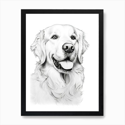 Golden Retriever Hund, Strichzeichnung gerahmt Wandbild Poster Leinwanddruck Bild
