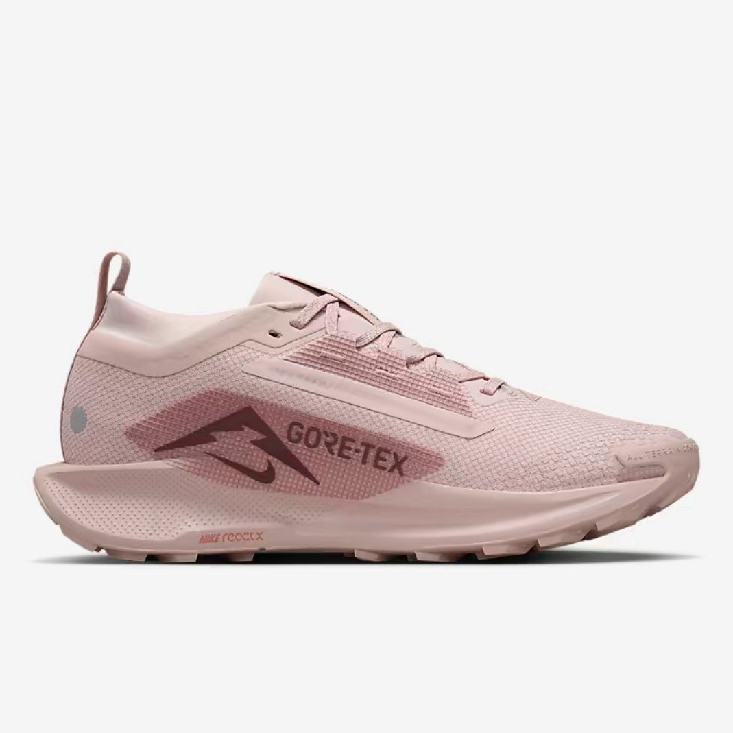 Nike Pegasus Trail 5 GTX Pink Oxford Trail Running nby FQ0912-601
