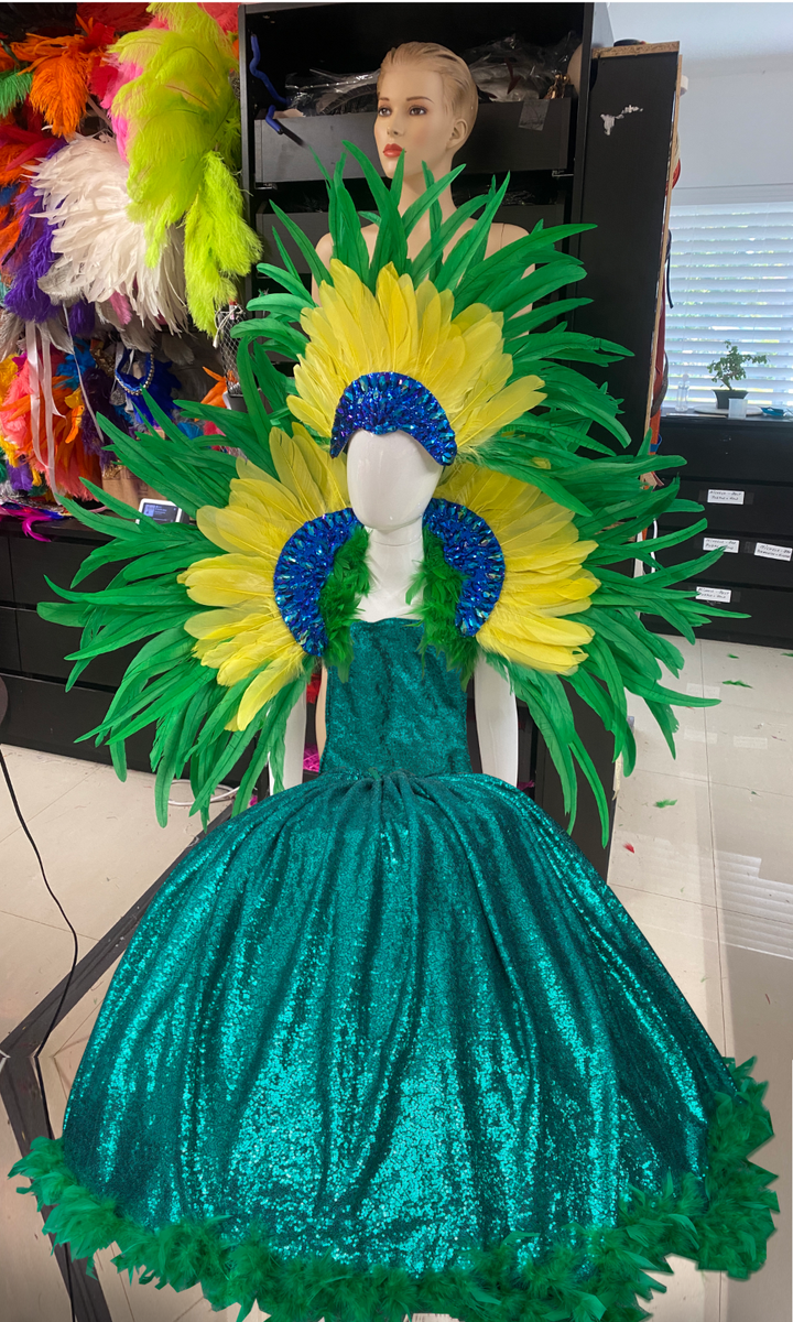 Carnaval Costume Brazilian Samba Fantasia Porta-Bandeira Kids Carnaval Costume Brazilian Samba Fantasia Porta-Bandeira Kids