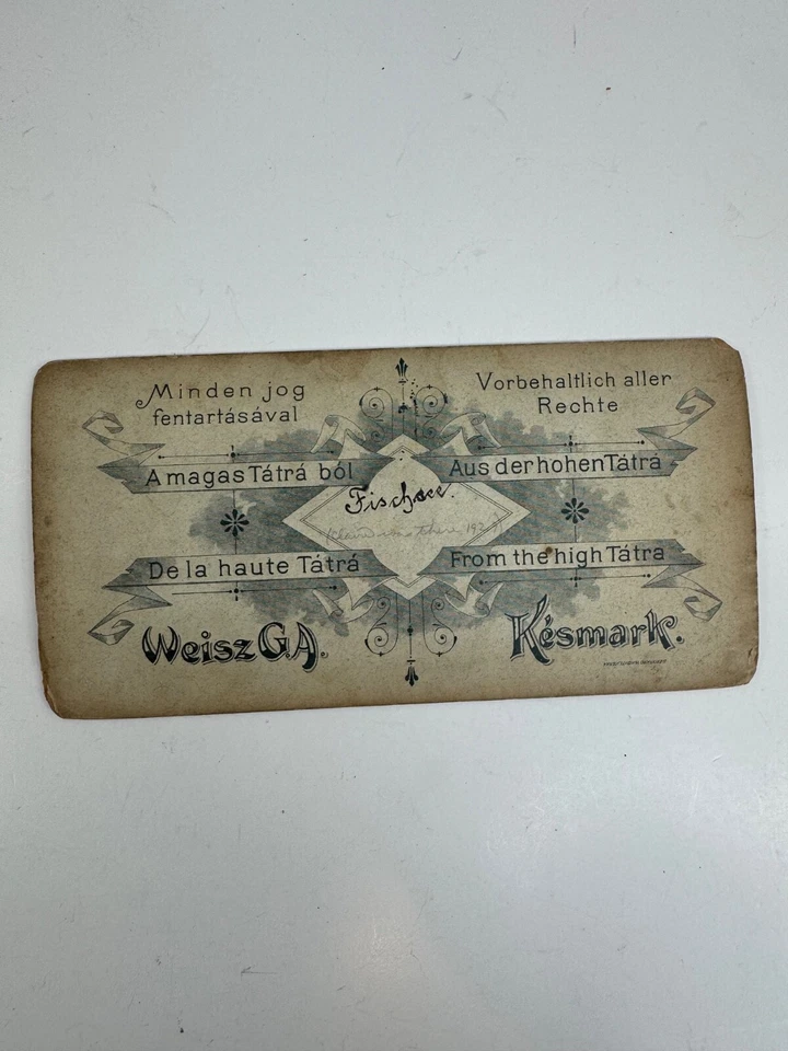 1929 Stereoview Деревья Перед Озером Высокие Татры Словакия - Изображение 2 из 2