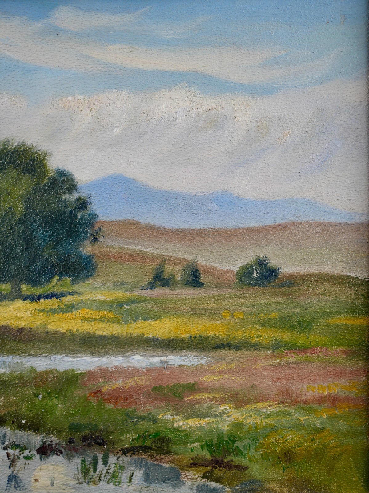 Vintage Original Landscape Oil on Board "Florida Lake Scene" By F. Hartung