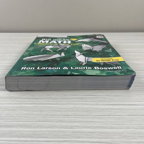 Big Ideas Math Grade 3 Larson & Boswell Volume 1 South Carolina Edition - Picture 3 of 18