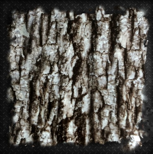 ECHTER BAUMRINDENLOOK TARNFILM HYDROGRAPHISCHER WASSERTRANSFER HYDRODIPPING DIP - Bild 2 von 3