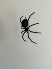 Handmade Hand-painted 3" Black Widow Spider Christmas Ornament Replica Figurine — photo 4