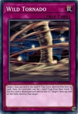 Wild Tornado - SS02-ENC18 - Common - 1st Edition x3 - Near Mint