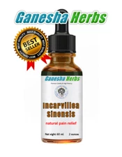 INCARVILLEA SINENSIS - Extract Liquid Tincture - Natural Pain Relief - 60ml/2oz