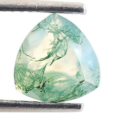 Natural Garden Moss Agate Trillion 8X8 mm Faceted Cut Worry Gemstone 1.60 Ct.