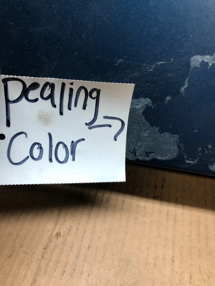 Alerón trasero para maletero Hyundai Elantra GT 2013 a 2016 OEM F6900 DG1 Foto 4 de 4