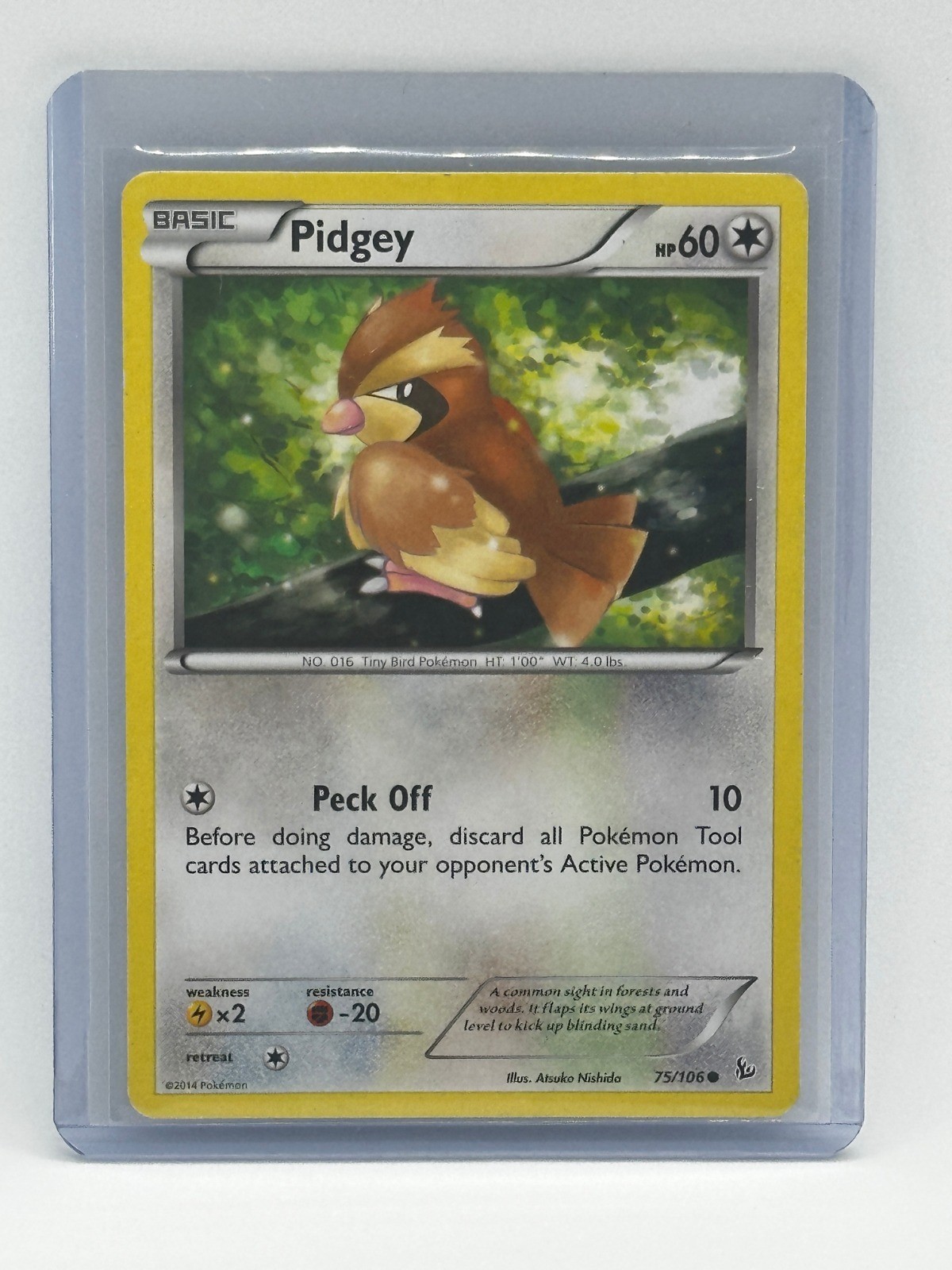 Pidgey Common 75/106 XY - Flashfire LP