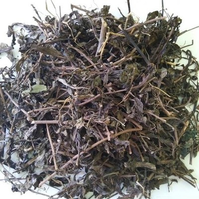 Katzenschnurrhaare Kräuter 500g Botanische Zutat zum Brauen Craft Blending