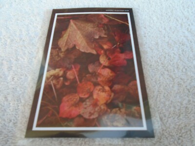 Omniiq - To Put Hope Aside - CDr - Entropy Records ED003 - Dark Ambient