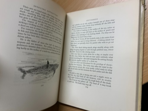 1937 1ª Edizione "Sporting Adventure" Natura Sportiva Grande Libro Rilegato (P5) - Picture 21 of 23