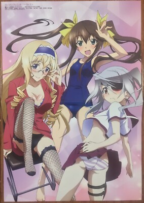 Double Sided Anime Poster Infinite Stratos Ground Control to Psychoelectric Girl