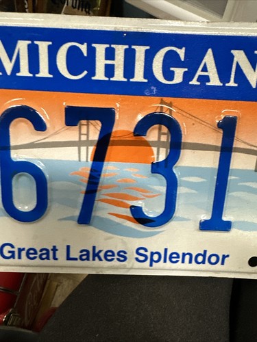 Around 2007 Michigan Handicapped License Plate 6731T Great Lakes Splendor - Picture 4 of 18