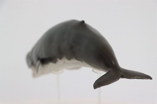 PNSO Livyatan Melvillei 56 Figure Marine Mammals Adult Kid Animal Model Toy Gift - Picture 18 of 19