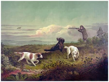 Decor Wild Life Poster. Fine Graphic Art. Hunting. Home Wall Design. 1198