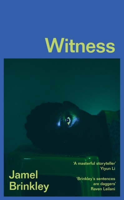 Witness: the stunning new short story collection of families and relationships – - Image 6