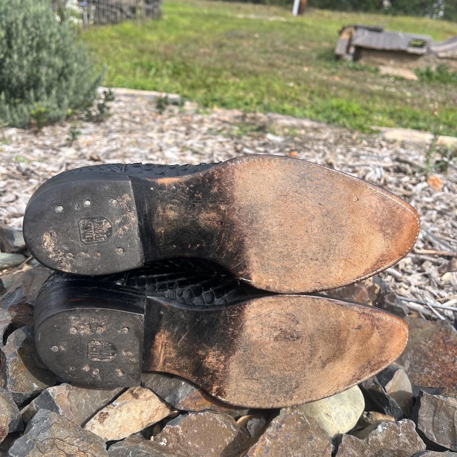 Dan Post Black Python Snakeskin Boots 11 D Wester… - image 17