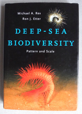 deep-sea biodiversity pattern and scale