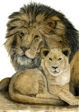 Lion & Cub Watercolour PRINT from an Original Wildlife Painting