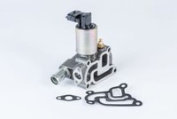 BorgWarner (Wahler) 710831D Agr-Ventil FüR Opel