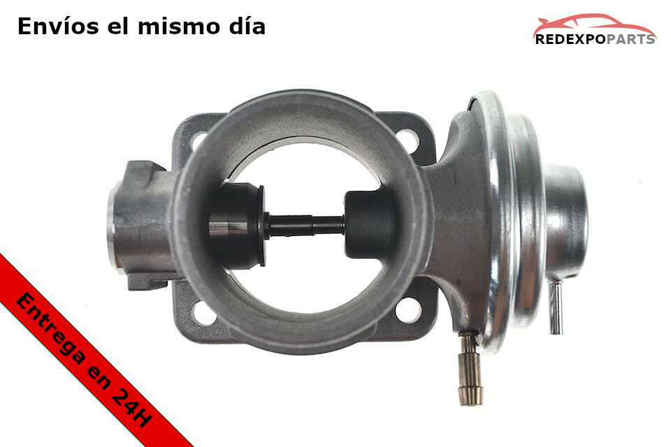 Imagen 6 de 6
