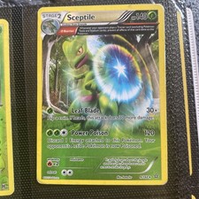 Sceptile 9/160 - Primal Clash Rare Reverse Holo - 2015 Pokemon TCG - MP on eBay