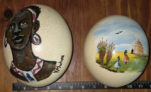 Ostrich Egg Lot Of (2) African Decor