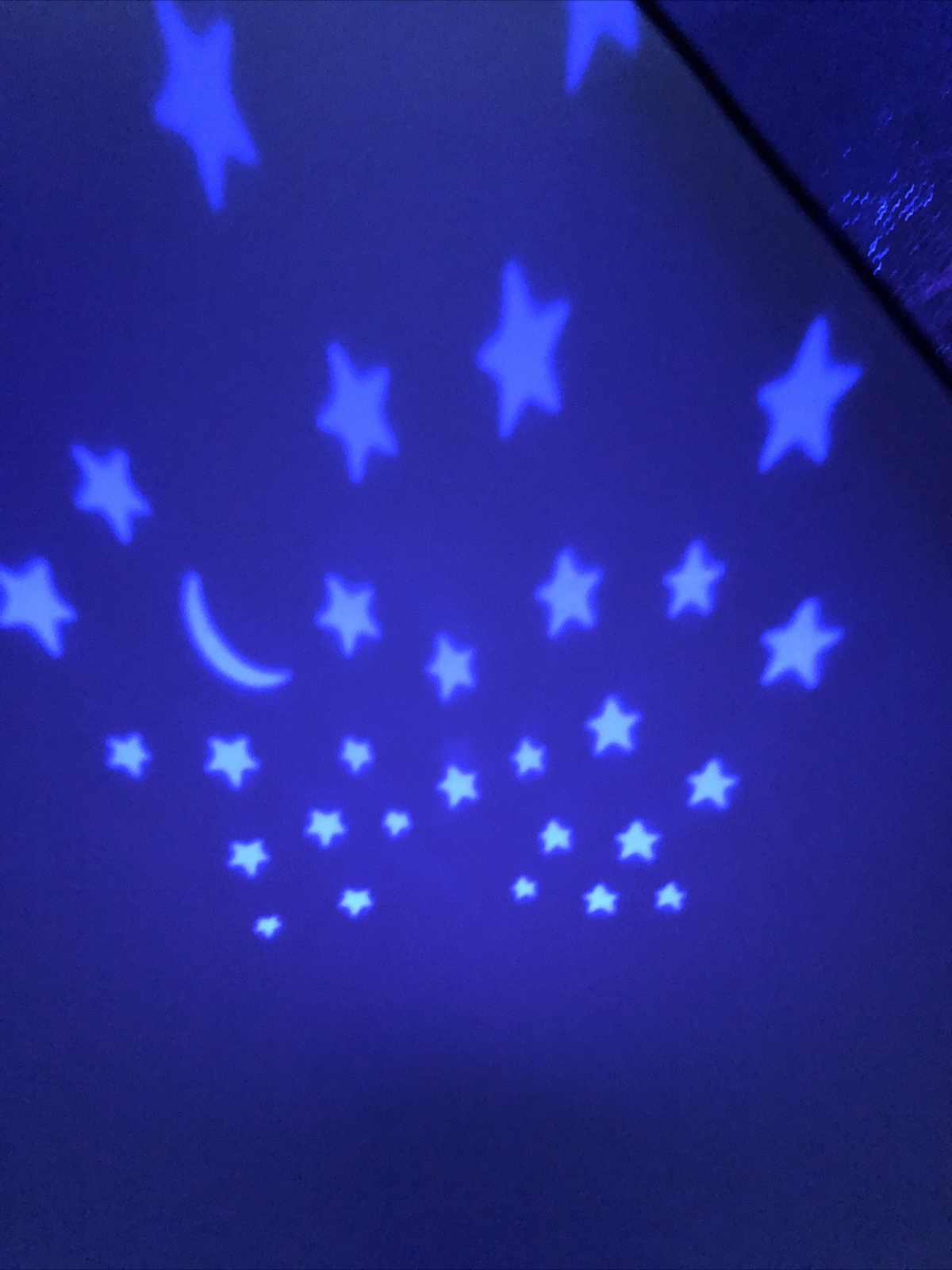 Bild 6 von 12