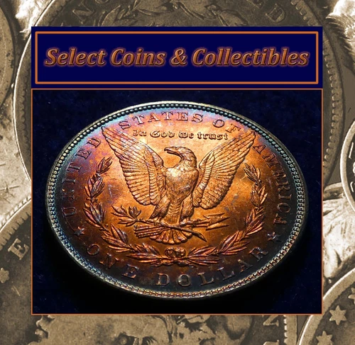 1887 BU++ PQ Morgan Silver Dollar Stunning Multi-Color Target Toned Die Clashed!