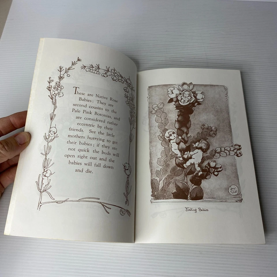 Boronia babies by May Gibbs - image 4 of 4