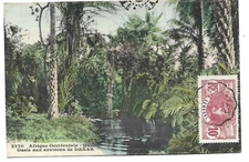 SENEGAL  DAKAR  OASIS