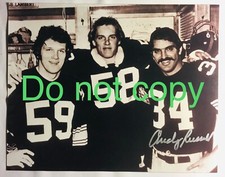 Pittsburgh Steelers Collecting and Fan Guide 88