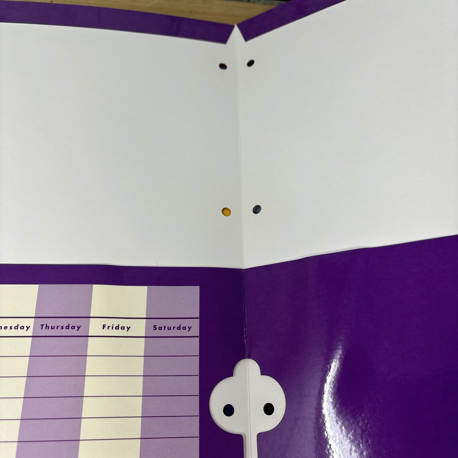 Picture 6 of 6